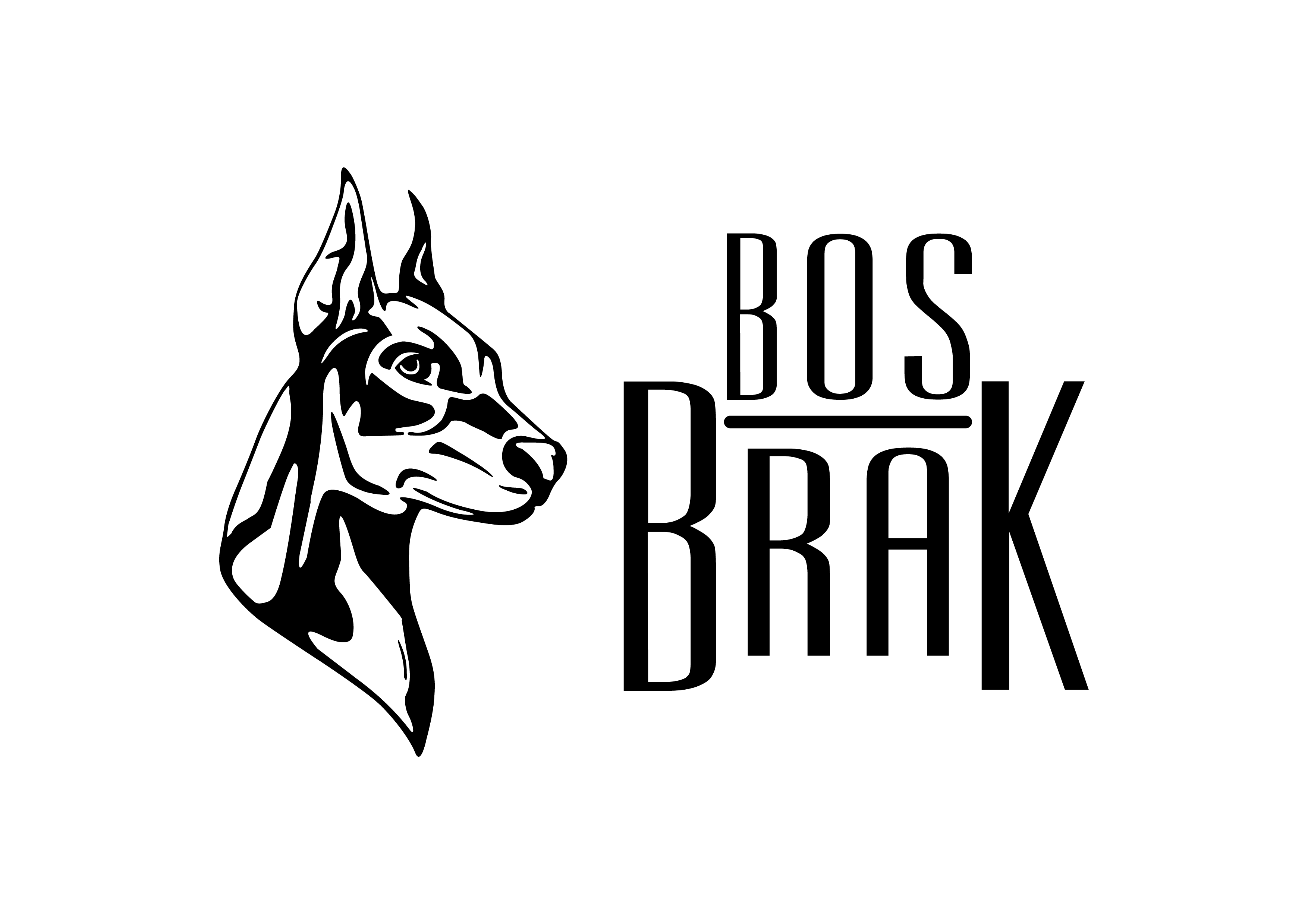 BosBrak_Logo-04